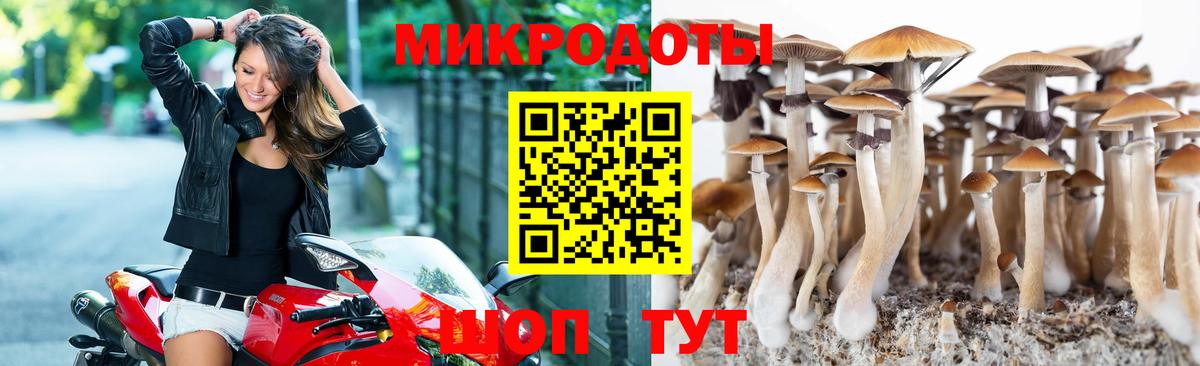 Черняховск  Псилоцибиновые грибы мухоморы  Псилоцибиновые грибы Cubensis  Вход с VPN 