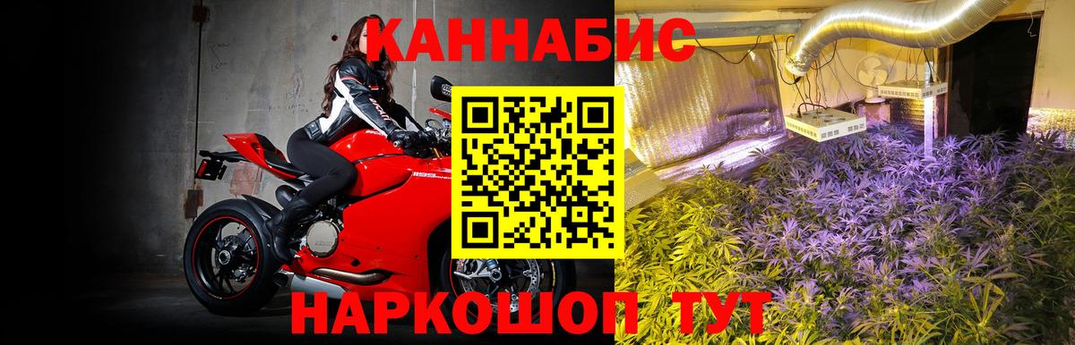 Шишки марихуана индика  Вход с VPN  Бошки Шишки индика  Черняховск 
